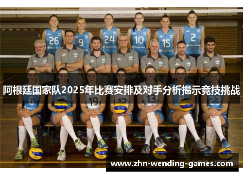 阿根廷国家队2025年比赛安排及对手分析揭示竞技挑战